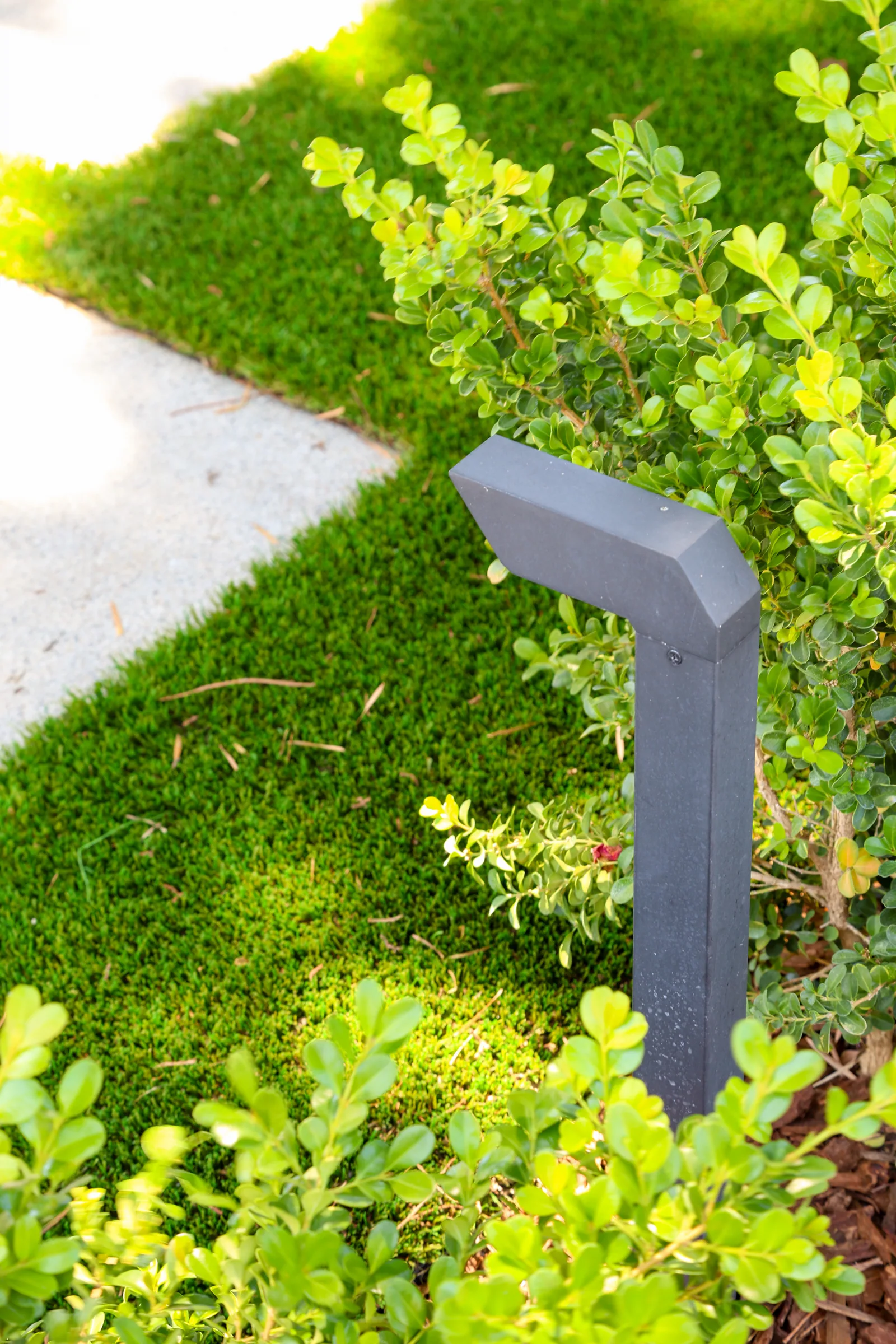 Bronze path light beside fresh turf and boxwood, Coronado
