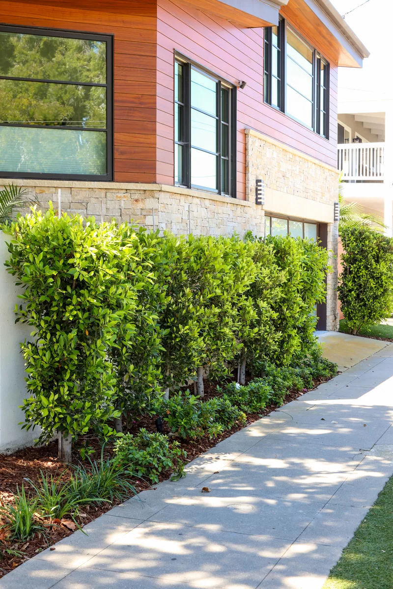 I Avenue Estate project photo