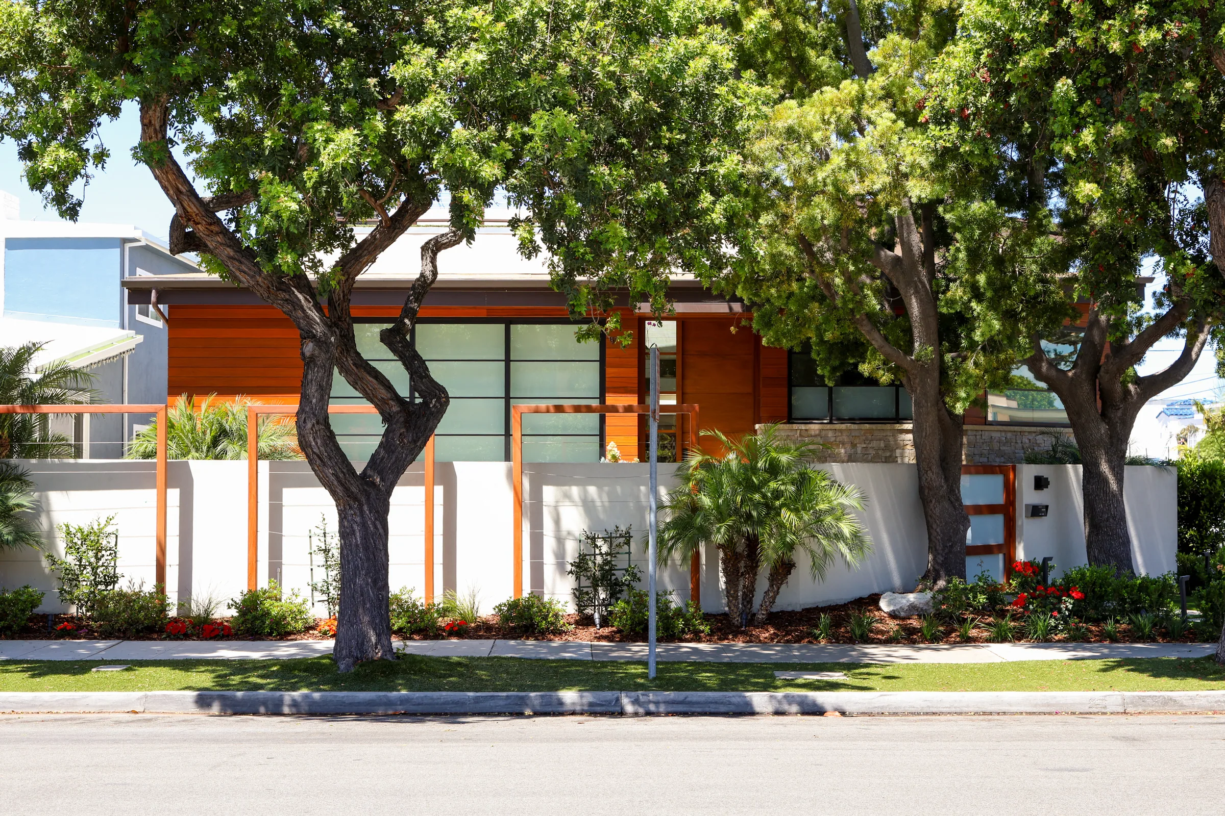 Mature pepper tree shading a modern Coronado home