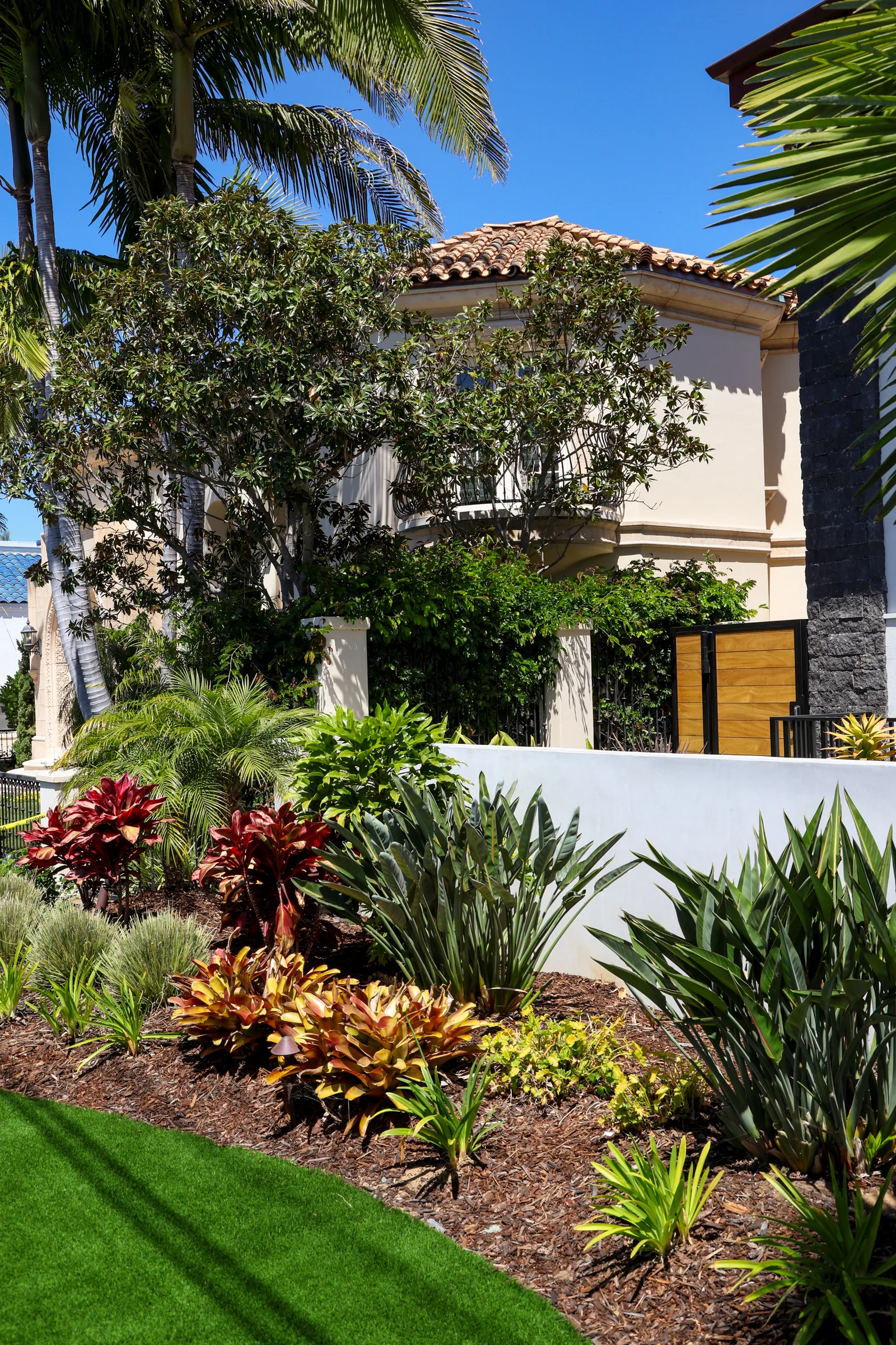 Drought-Tolerant Landscaping in Coronado
