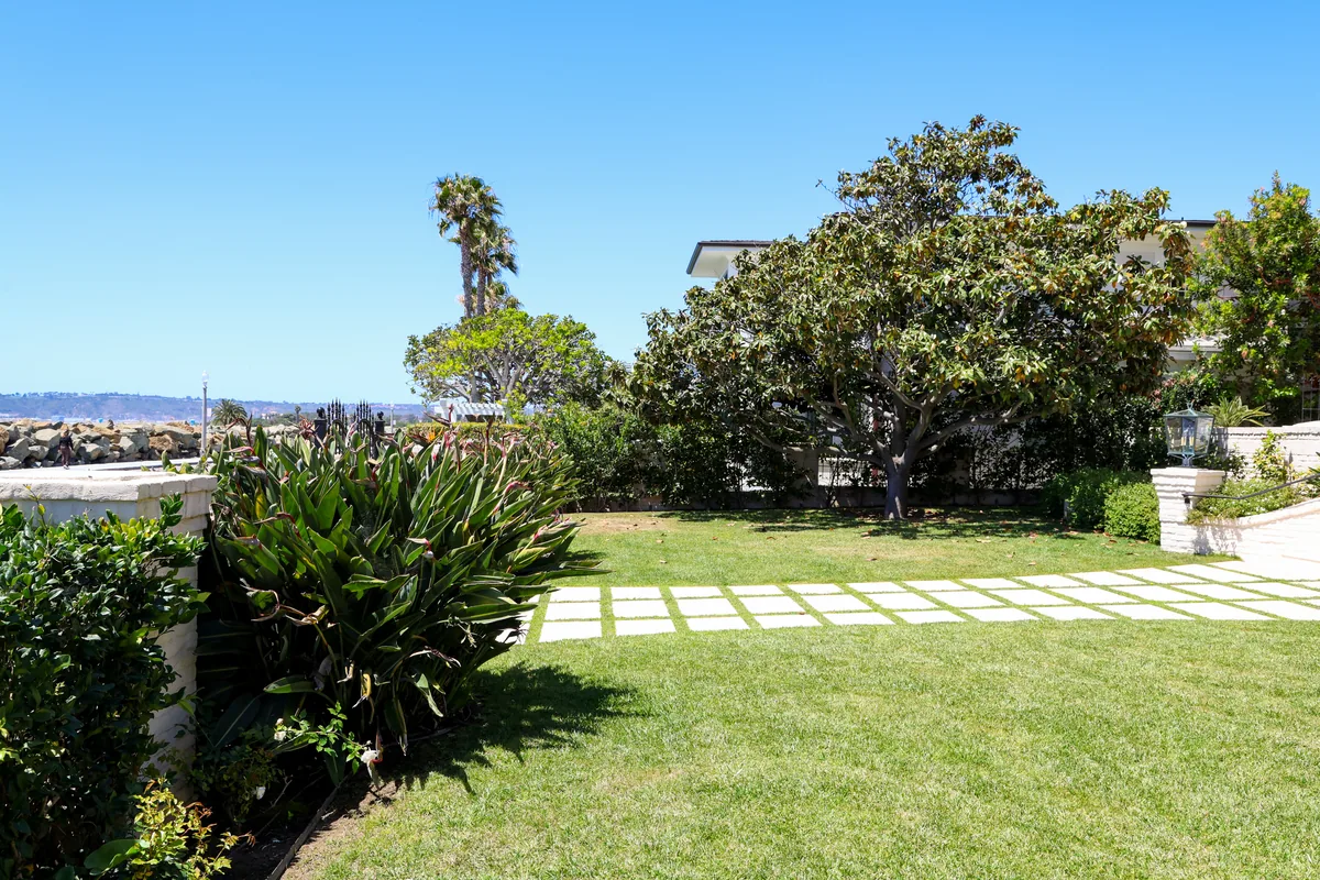 Ocean Boulevard Garden project photo