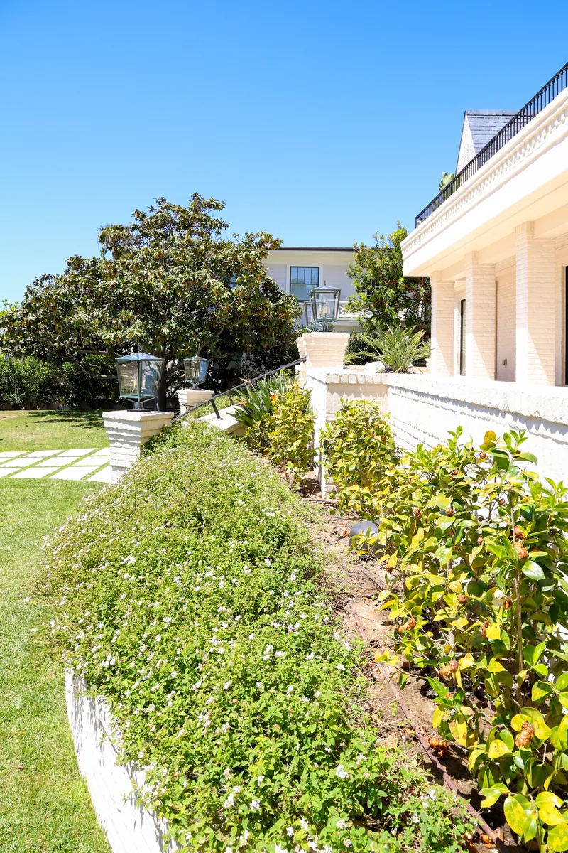 Ocean Boulevard Garden project photo