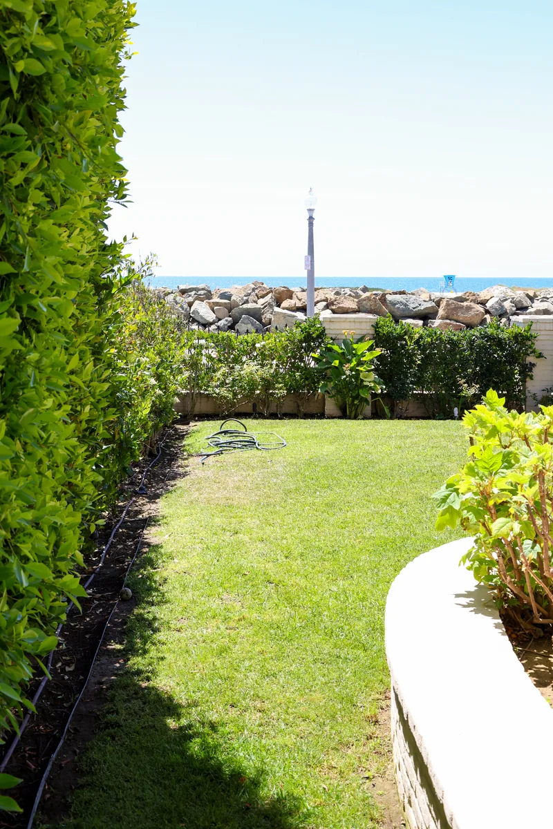 Ocean Boulevard Garden project photo