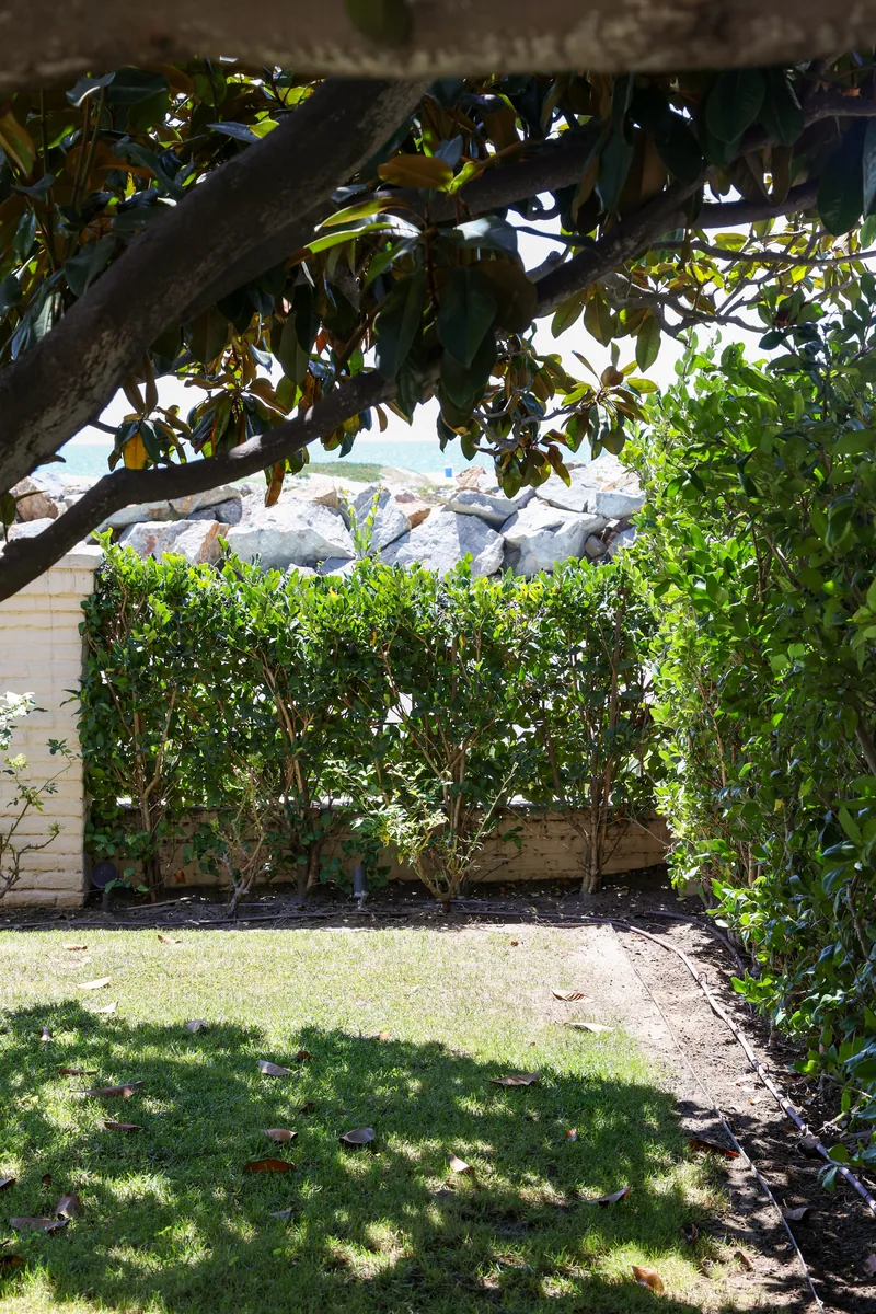 Ocean Boulevard Garden project photo