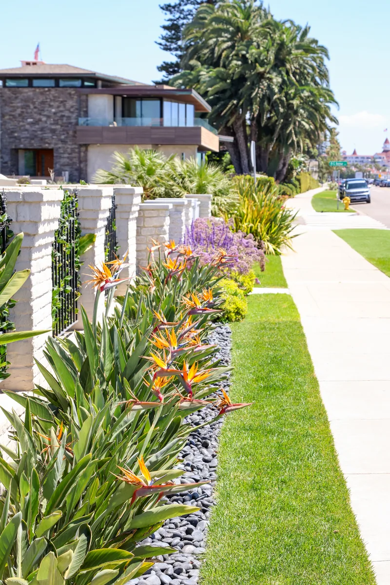 Ocean Boulevard Garden project photo