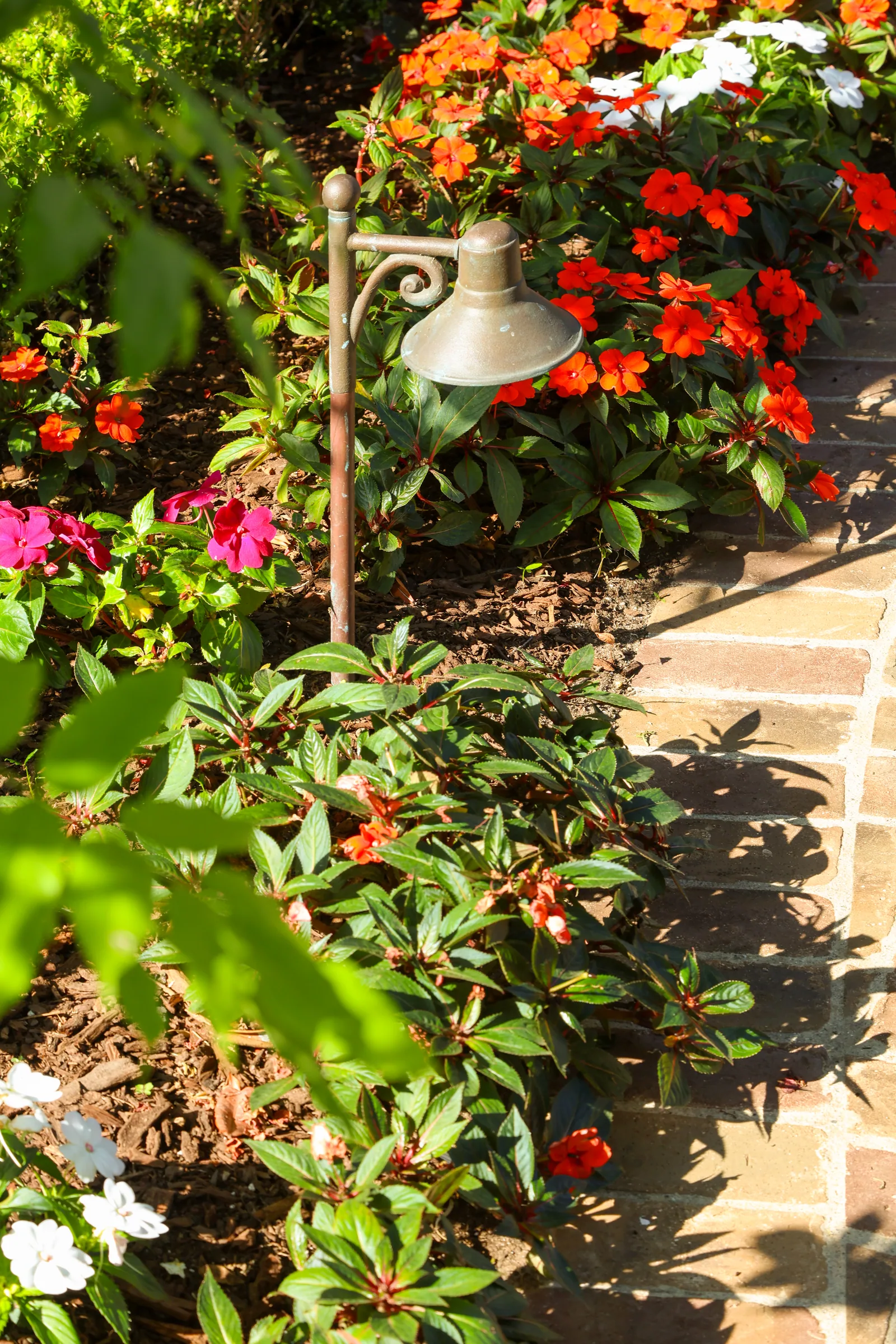 Landscape Lighting in Coronado