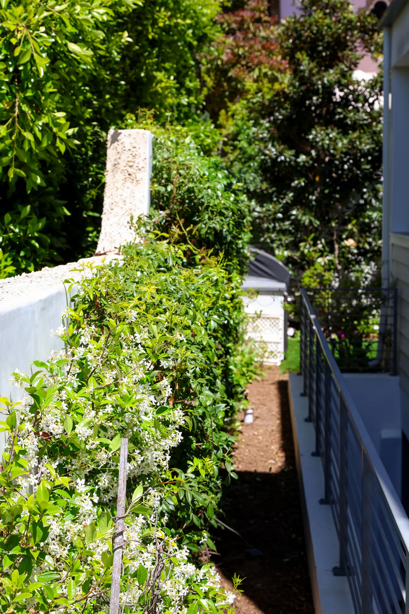 Coronado landscape work