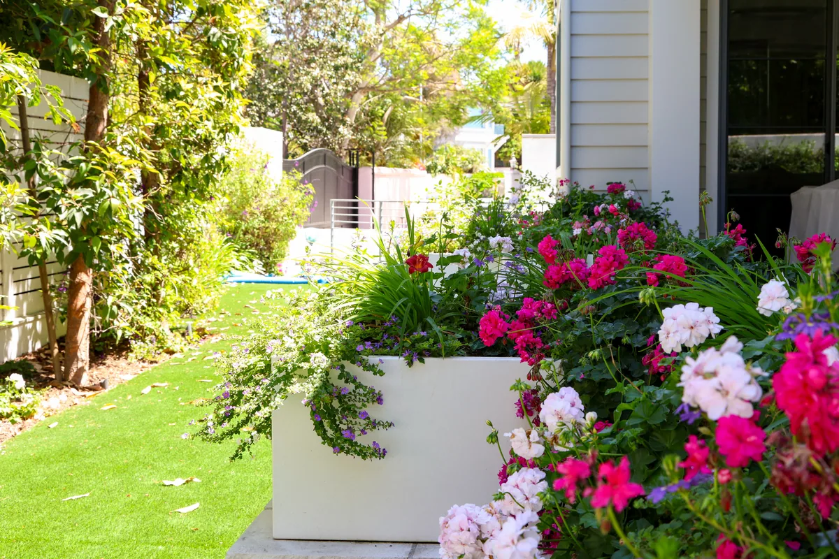 Bayfront landscape design