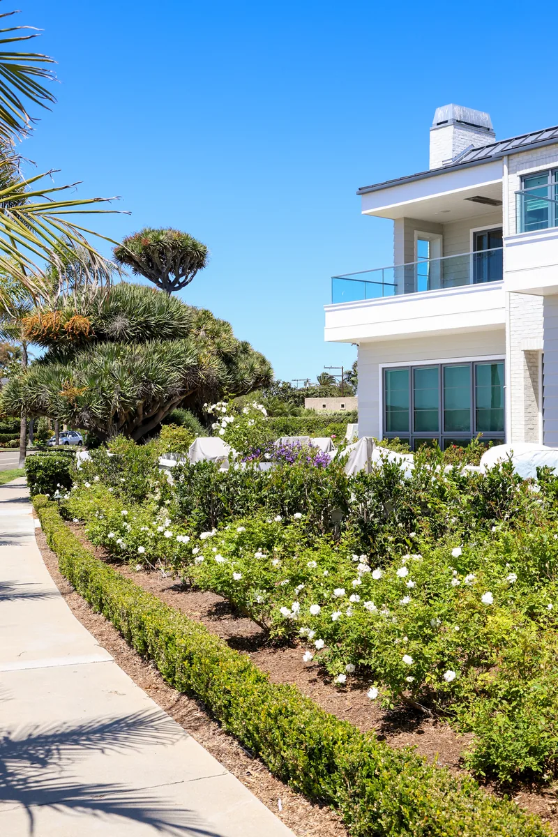 Ocean Boulevard Bayfront project photo