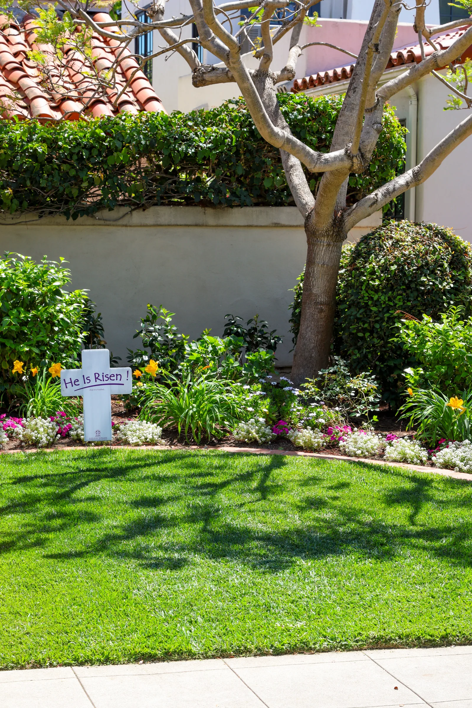 Irrigation Installation & Design in Coronado