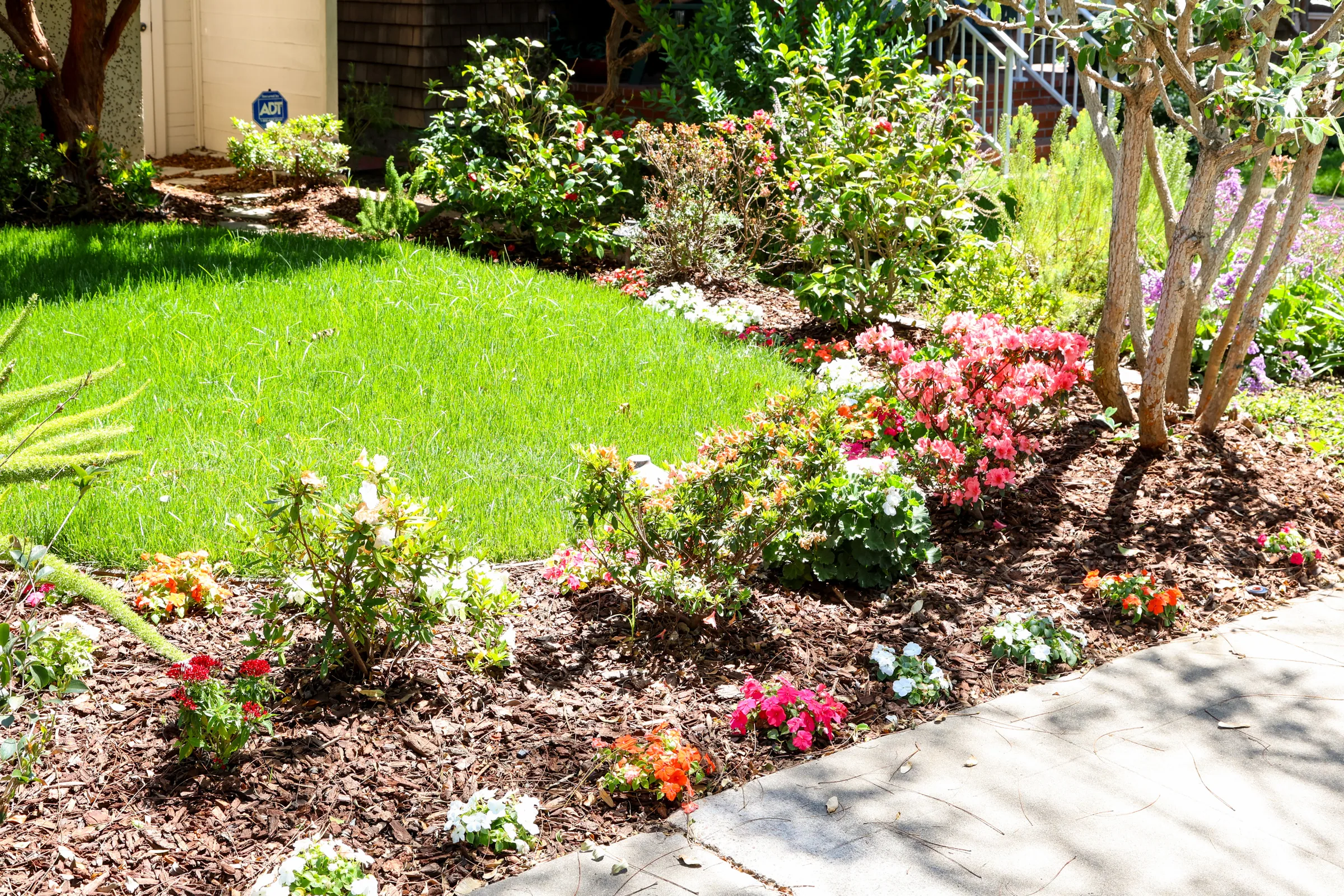 Healthy real lawn and flower beds kept on tuned irrigation, Coronado