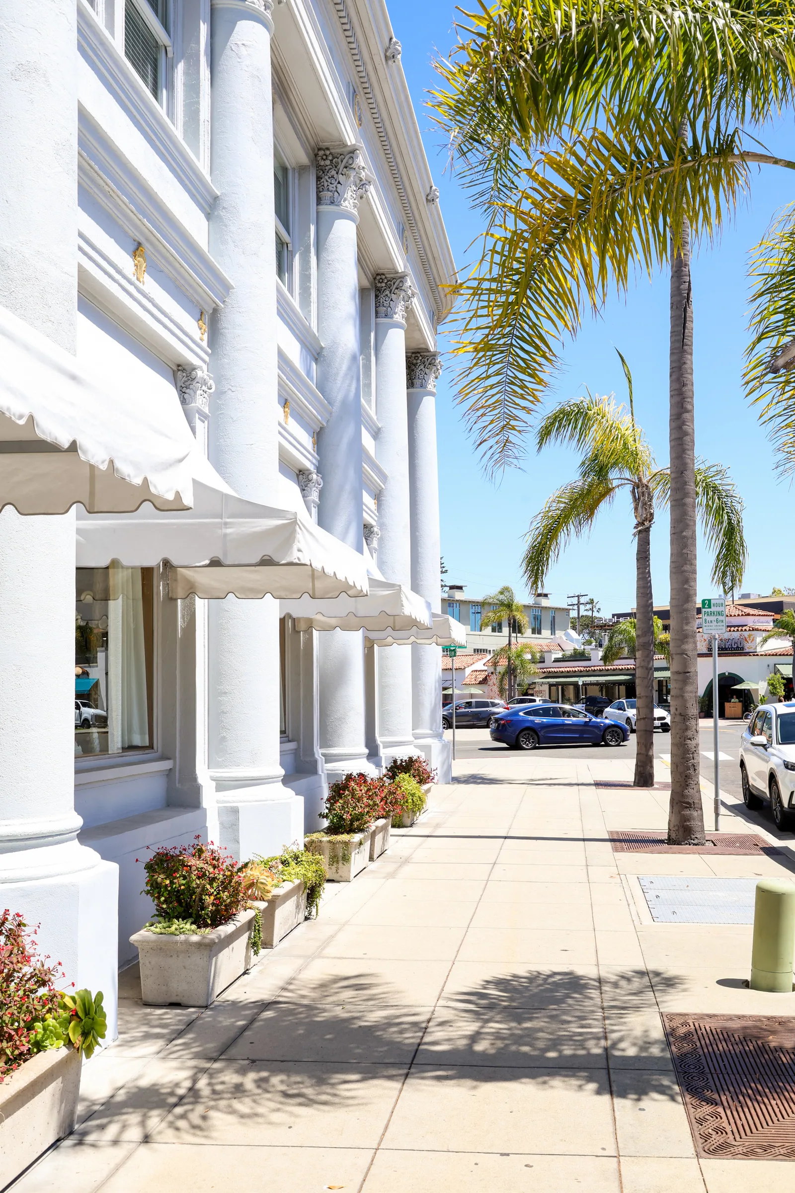 Recent Downtown San Diego project by Ecosystem Landscaping