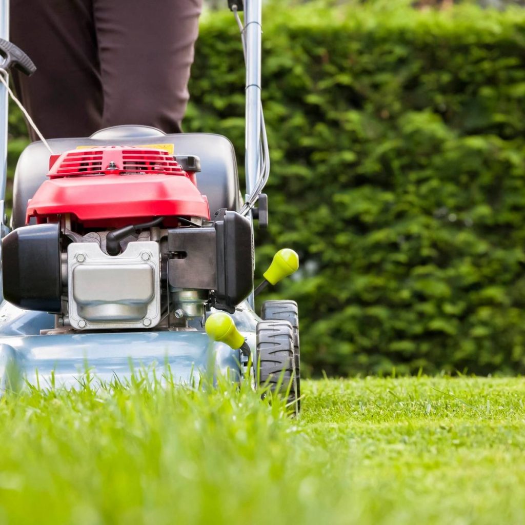 Lawn Mowing