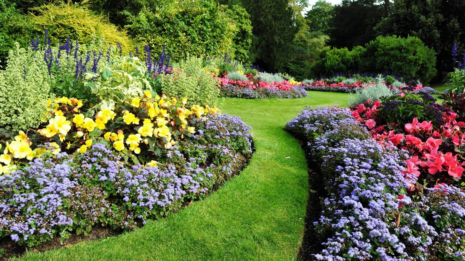 Landscape with green grass and colorful flowers.