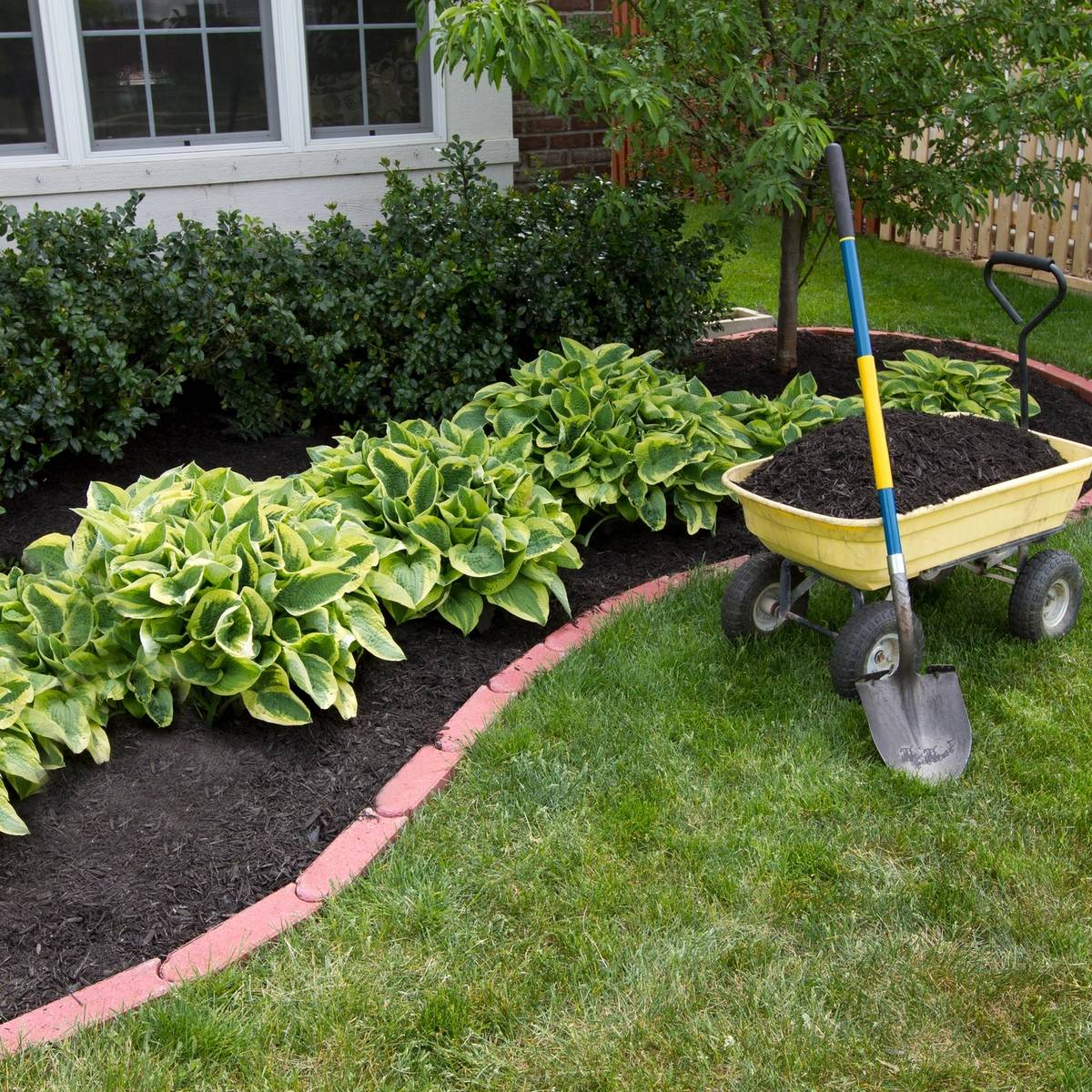 Mulch being placed in a garden.