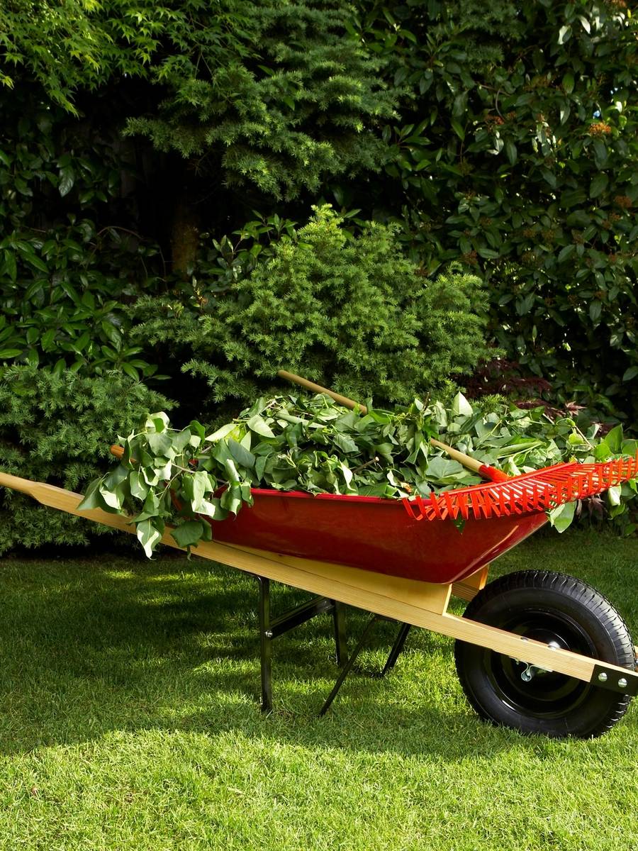 Wheelbarrow containing tree branches and yard clippings.